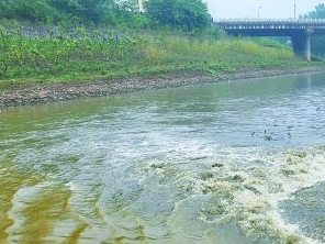 白沟污水清运多少钱